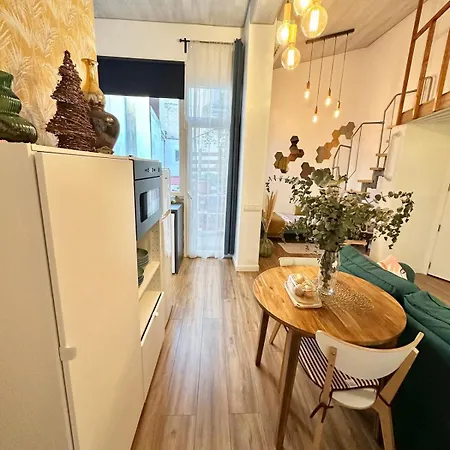 The Terrace Of Santa Barbara 阿利坎特